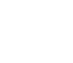 Logo-Serprodi-no-fondo-blanco